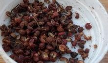 水煮松子五香最新爆料,独家揭秘美食背后的故事