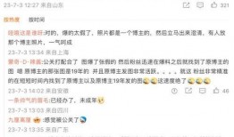 狗仔爆料新闻事件视频播放,新闻事件幕后真相大曝光